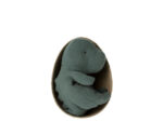 (Maileg 2025) – Gantosaurus – (S) – (Petróleo escuro) – 16-2604-01 – Pr.32,50