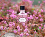 (Ach_Brito 2025) – Magnólia – Eau de Cologne – (100ml) – ACM100