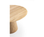 MUSHROOM_0002_ROUNDTABLE