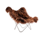 (Cuero 2025) – Iceland Mariposa Shorn – (Brown – Chrome) – 1121302 -(L)