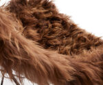 (Cuero 2025) – Iceland Mariposa Shorn – (Brown – Chrome) – 1121302 -(L)