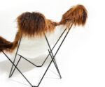 (Cuero 2025) – Iceland Mariposa Shorn – (Brown – Chrome) – 1121302 -(L)