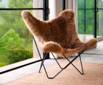 (Cuero 2026) – Butterfly Icelandic – (wool)