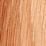 Carvalho Natural (1)